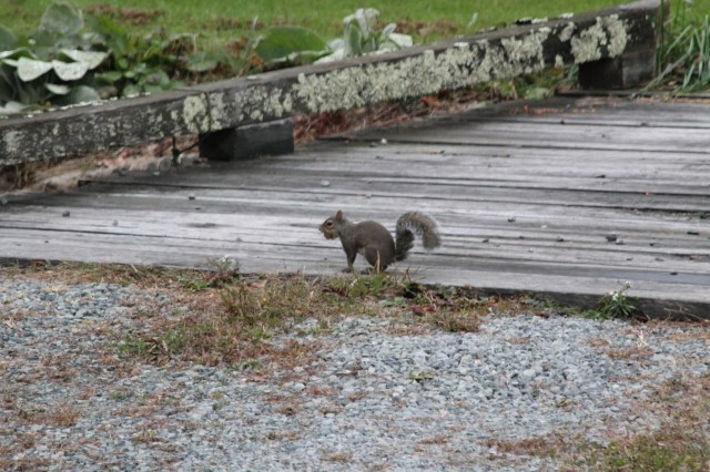 Stashing this for winter!