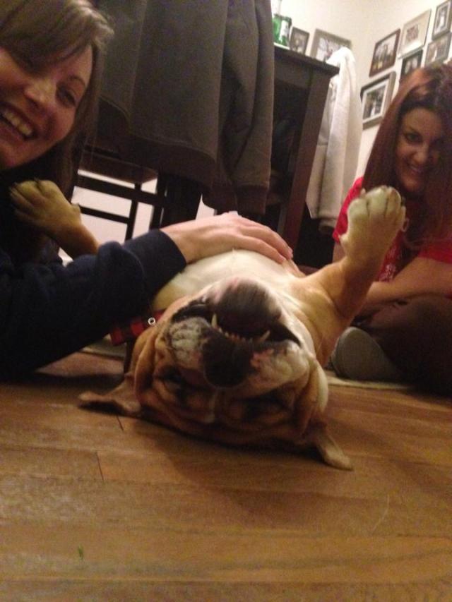 Tell me that's not a great face!