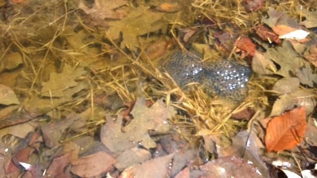 Boy are these guys going to noisy one day...