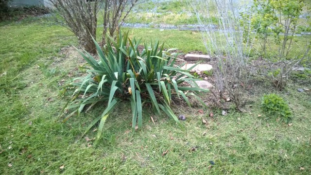 Well, that looked nice until. . . just now.