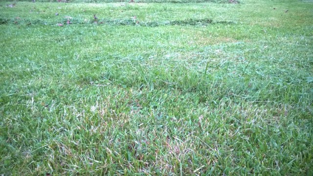 Well don't that just beat all.